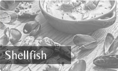 The Argyll Smokery | Masters in the fine art of smoking fish